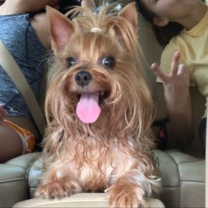 Meet your Posher, Sofia